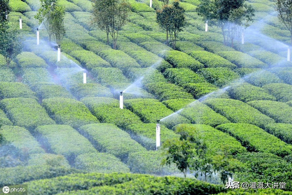 農業灌溉資訊 | 未來幾年國內農業灌溉市場估計有多大？